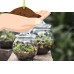 Envelor Home and Garden Hanging Terrarium DIY Kit Thick Glass Terrarium Container with Container for Succulent Cacti Air Fern Plants Moss Garden Gift & Succulent Planter Kit No Plants Included   570115559